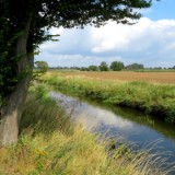 2008F 138 An der Werse